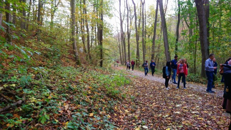 Auf dem Weg zum Fürstenbrunnen